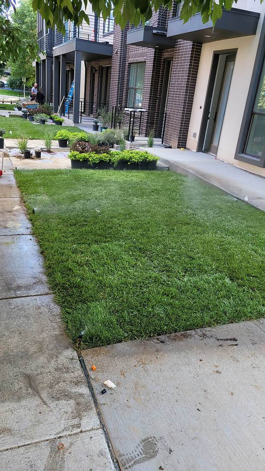 A landscape depicting Loyal Landscape's sprinkler and lawn care services.